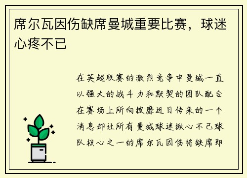 席尔瓦因伤缺席曼城重要比赛，球迷心疼不已