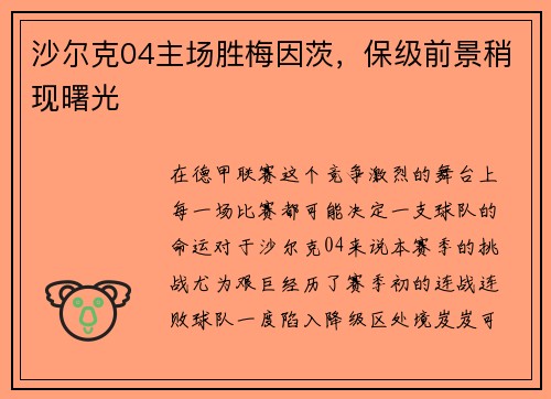 沙尔克04主场胜梅因茨，保级前景稍现曙光