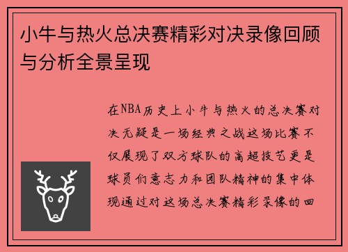 小牛与热火总决赛精彩对决录像回顾与分析全景呈现