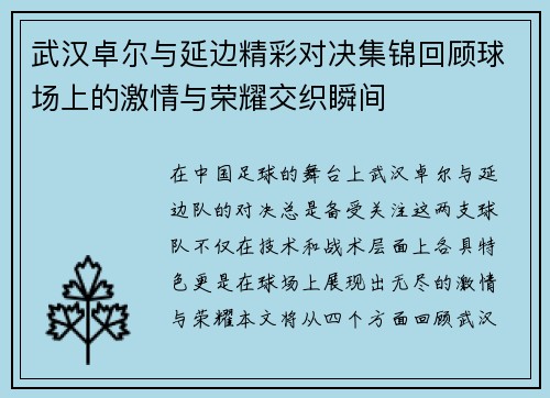 武汉卓尔与延边精彩对决集锦回顾球场上的激情与荣耀交织瞬间