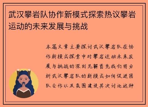武汉攀岩队协作新模式探索热议攀岩运动的未来发展与挑战